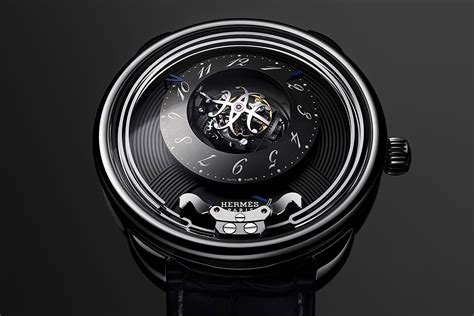 arceau duc attelé watch